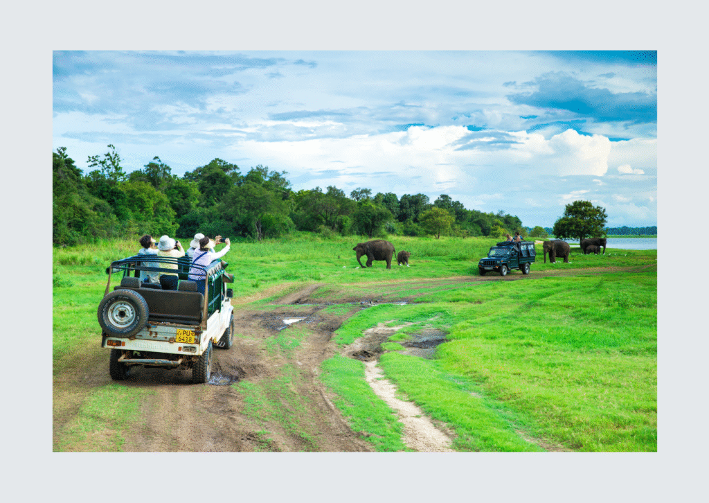 Jeep taking tourists in sri lanka