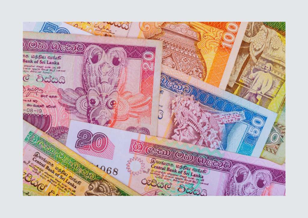 Sri Lankan Rupees image